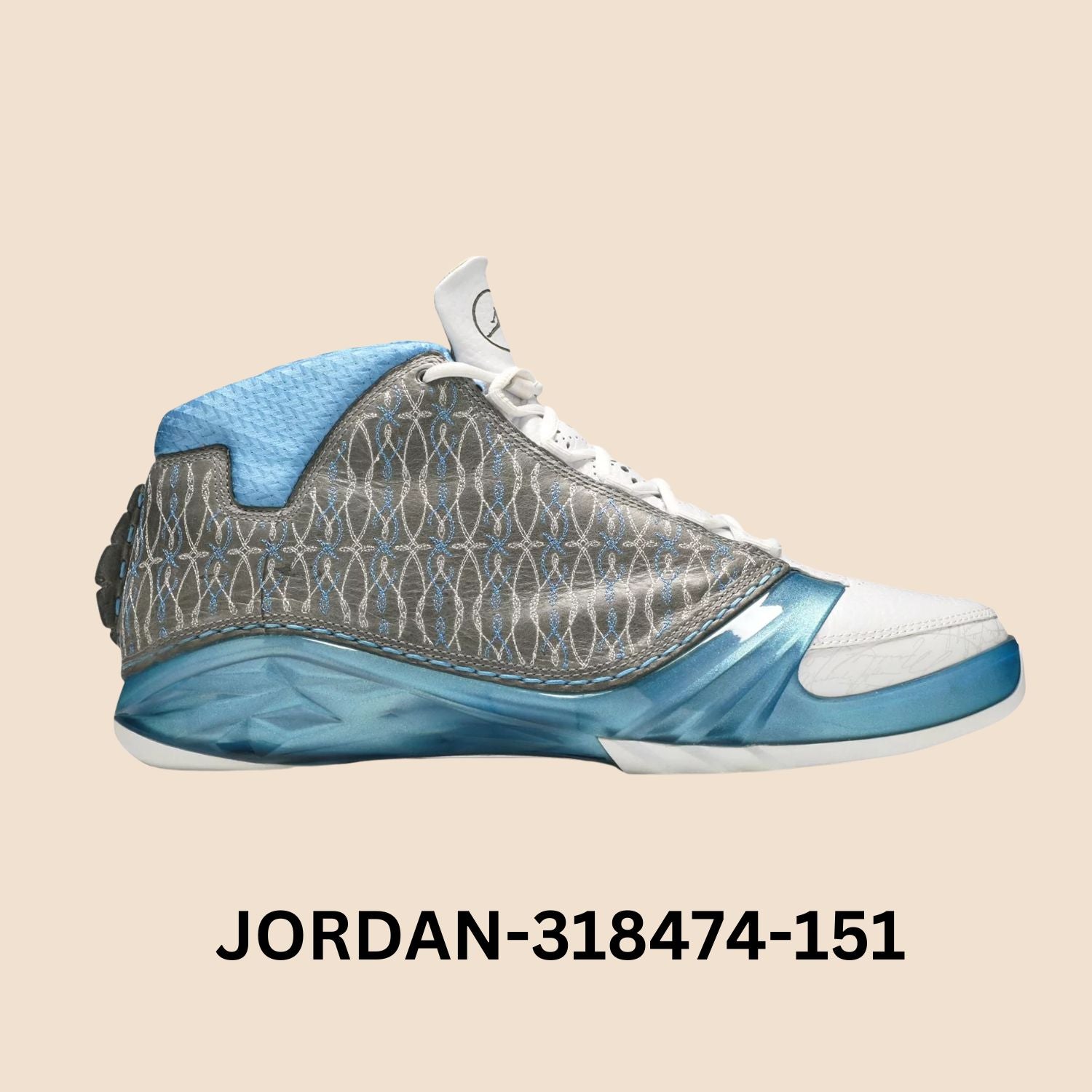 Air Jordan 23 Premier "Titanium" Men's Style# 318474-151