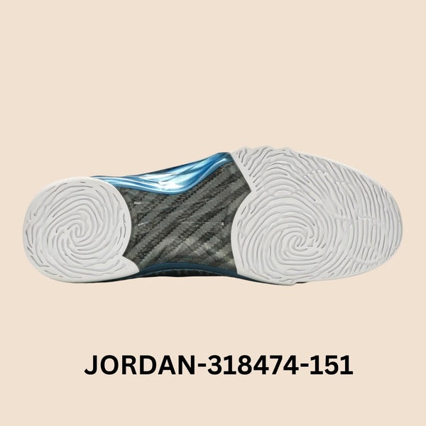 Air Jordan 23 Premier "Titanium" Men's Style# 318474-151