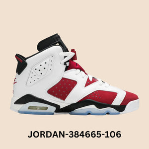 Air Jordan 6 Retro "CARMINE" Grade School Style# 384665-106