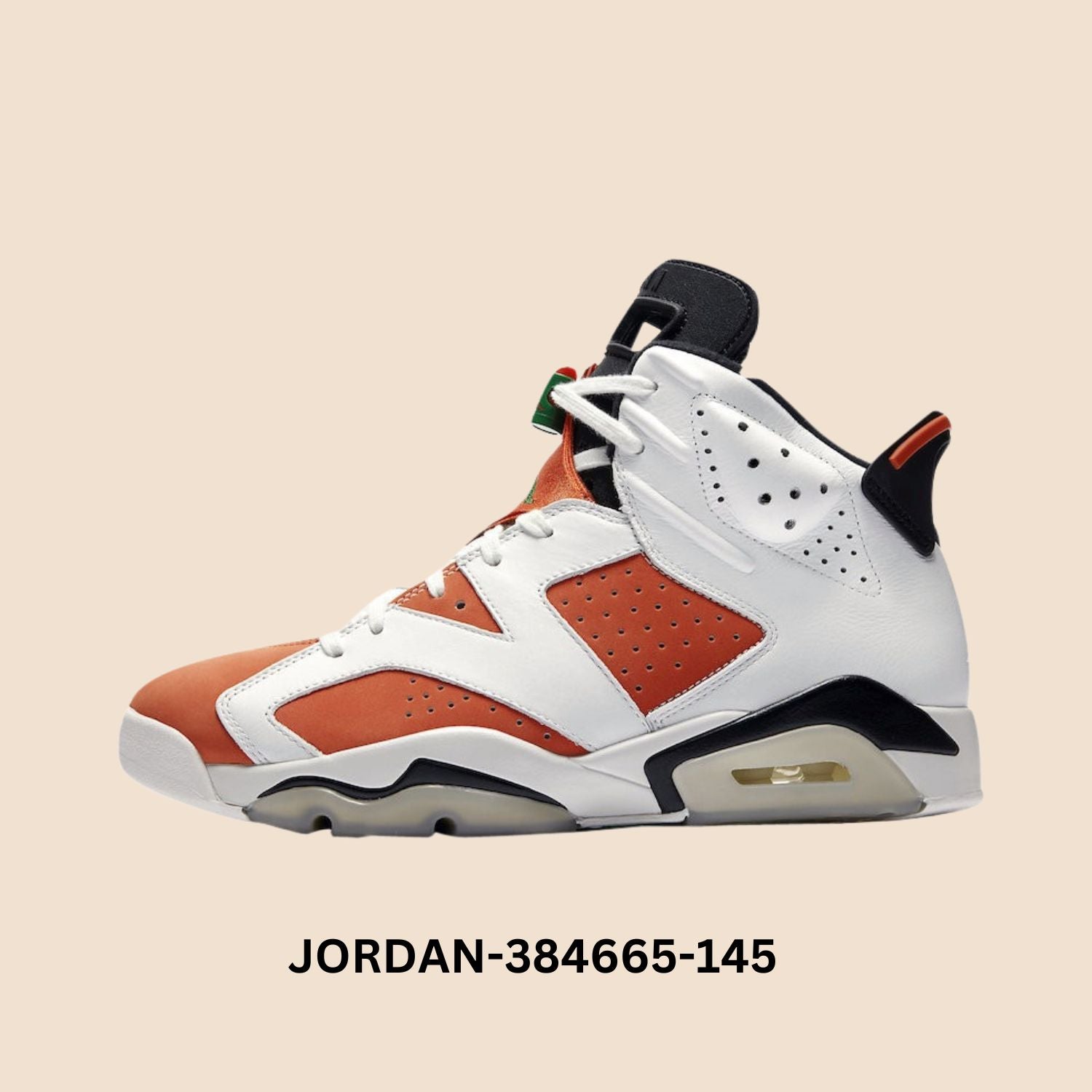 Air Jordan 6 Retro "GATORADE" Grade School Style# 384665-145